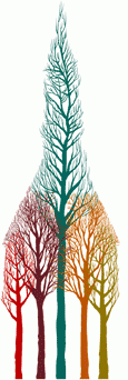 just-tree.gif#asset:5924:url